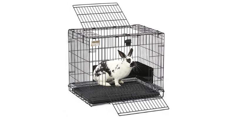 Choosing the Right Urine Guard for Your Rabbit Cage