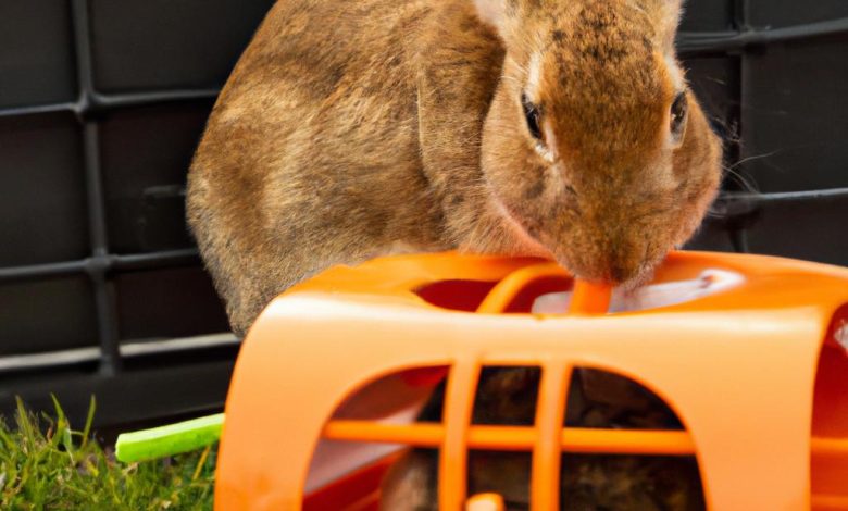 Enraged Rabbit Carrot Feeder