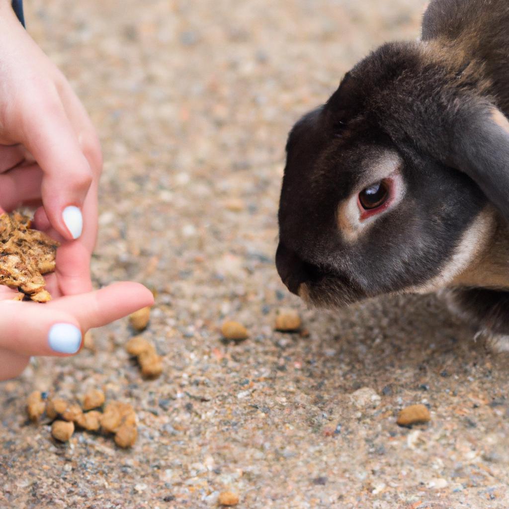 Bonding with your pet rabbit while giving them the best nutrition with Purina's complete rabbit food.