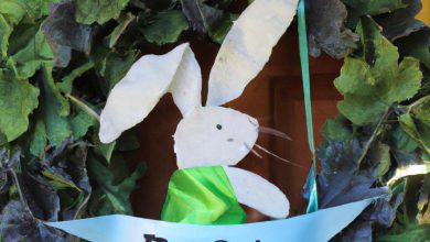 Peter Rabbit Easter Decorations