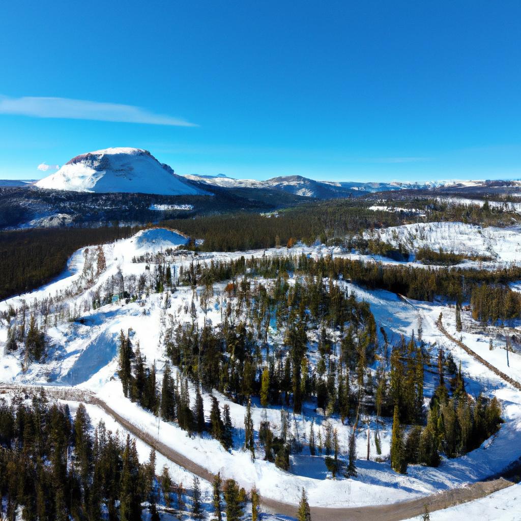 The Rabbit Ears Pass webcam is an important tool for travelers to plan their route and avoid delays.