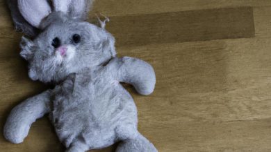 Rabbit Fur Cat Toy