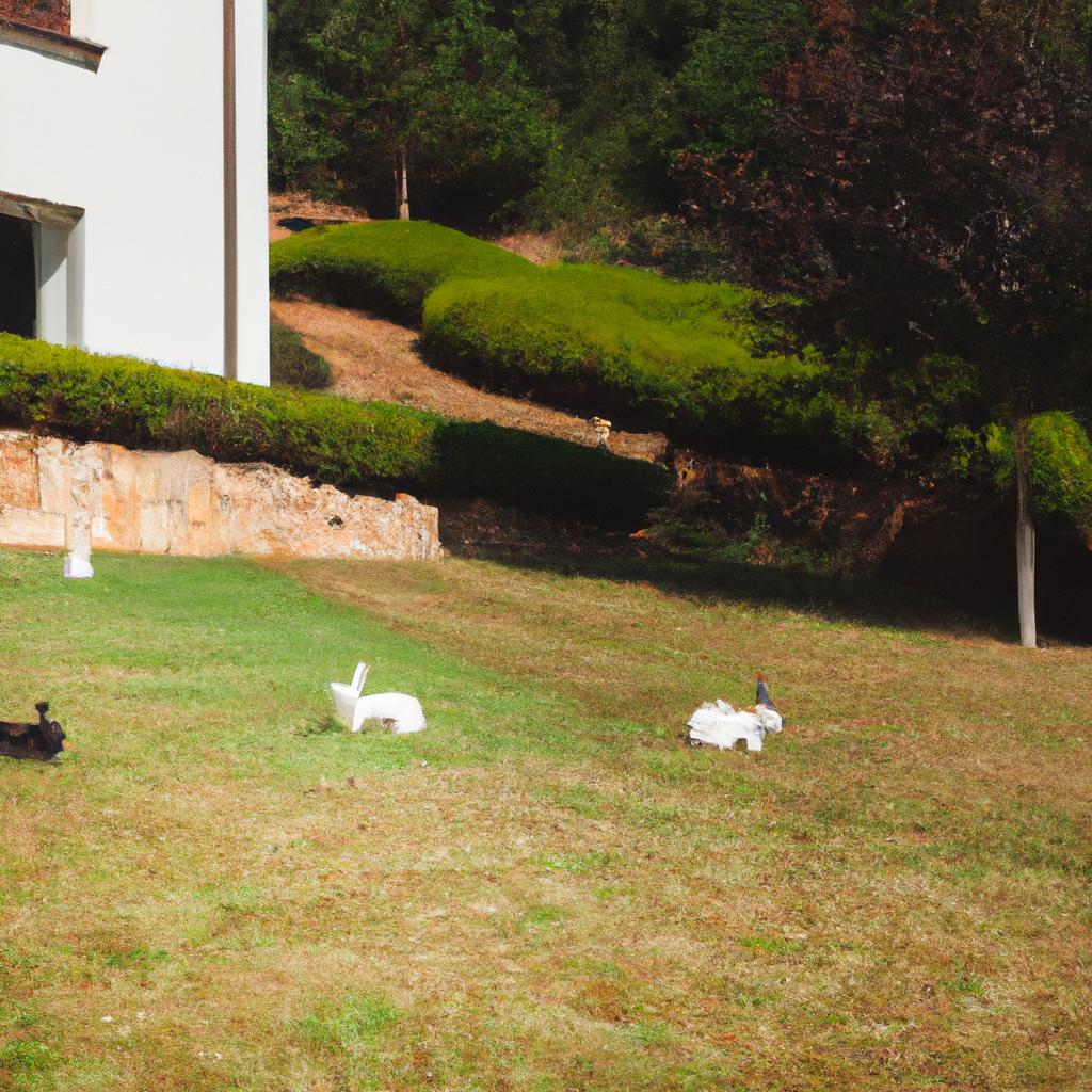 The rabbits seem to be right at home on 115 Crazy Rabbit Road