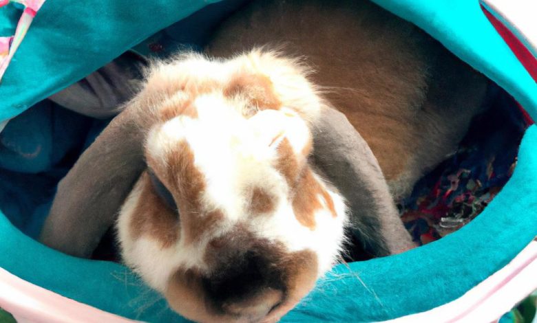 Roller Rabbit Sleeping Bag