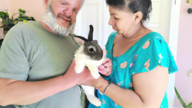 Southwest Florida House Rabbit Rescue