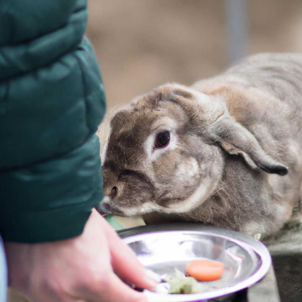 This little guy couldn't be more grateful for a good meal 🥕🐇
