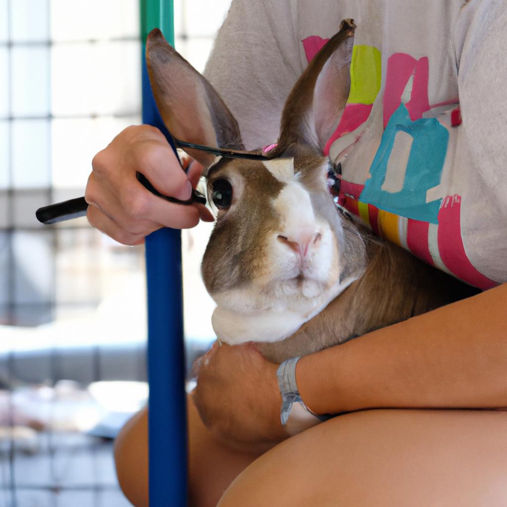 The care and attention given to rabbits to ensure their well-being and happiness