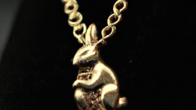 Year Of The Rabbit Jewelry