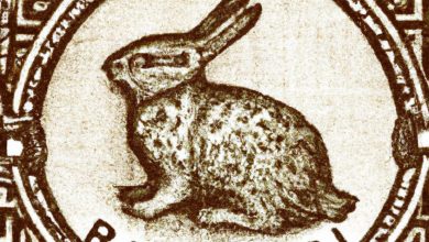 Year Of The Rabbit Stamps